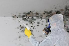 Best Real Estate Mold Inspection  in Marquette Heights, IL